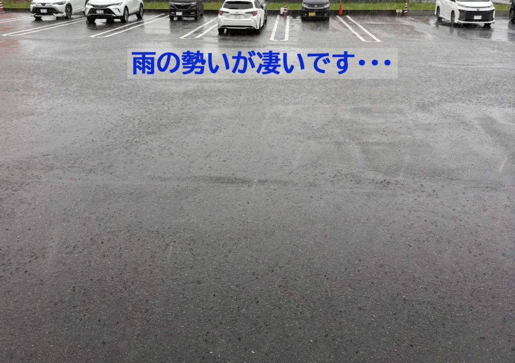 いつもありがとうございます！